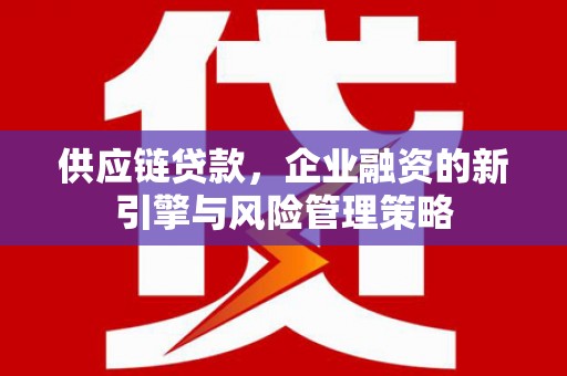 雨山供应链贷款，企业融资的新引擎与风险管理策略