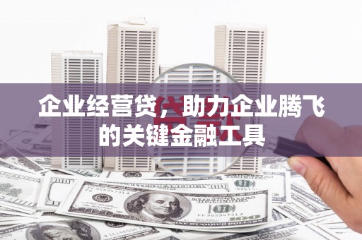 武鸣企业经营贷，助力企业腾飞的关键金融工具